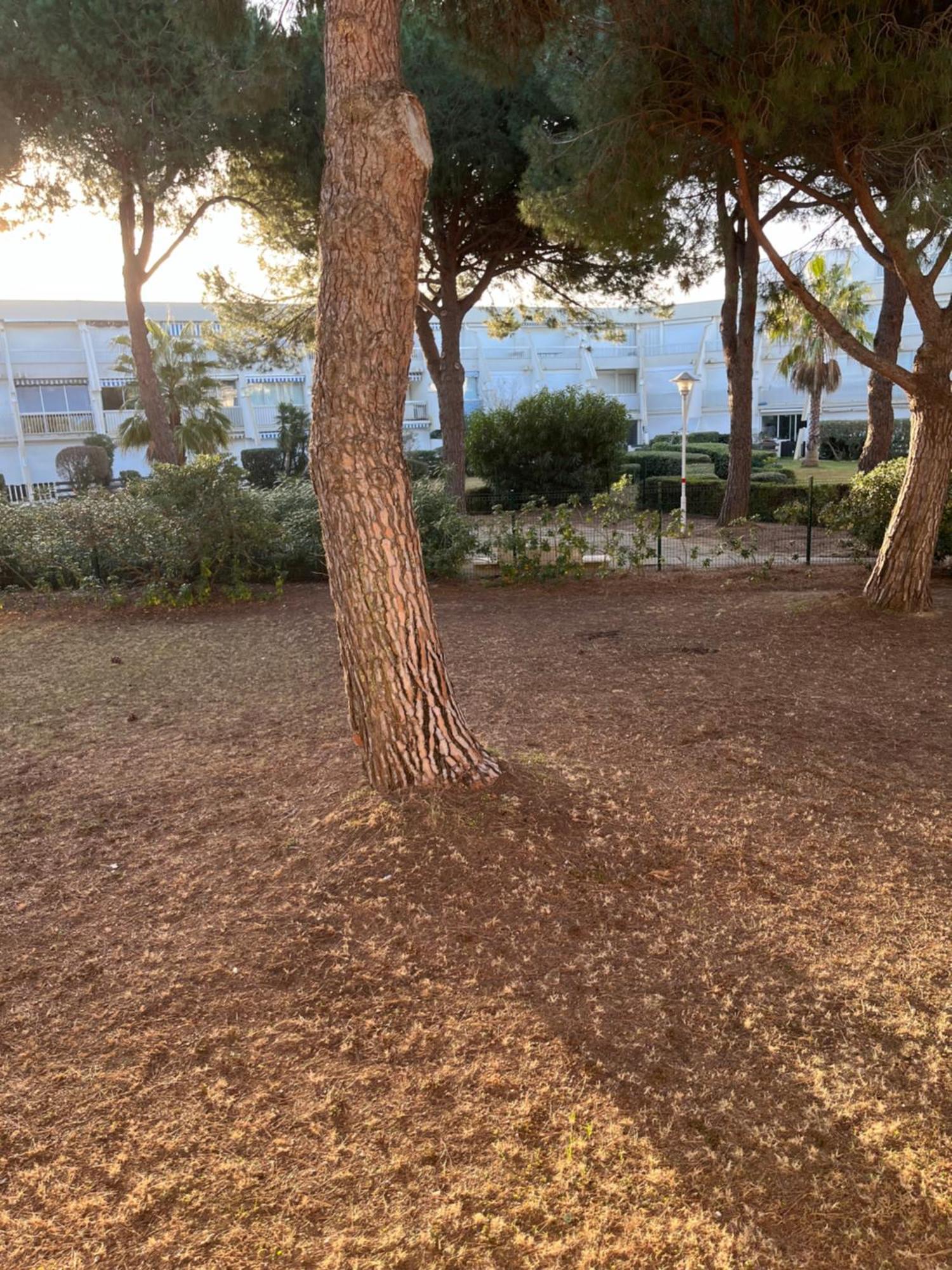 Les Caravelles Plage Sud Le Grau-du-Roi Exterior foto